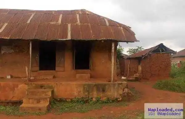 FG to phase out mud houses - Minister